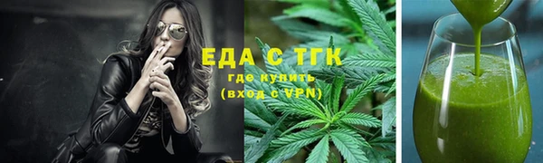индика Арсеньев