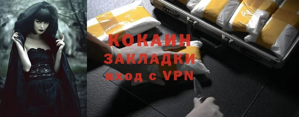 индика Арсеньев