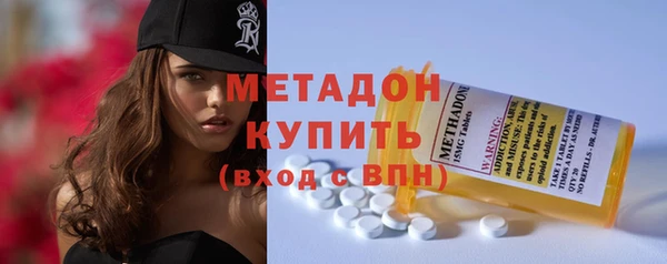 индика Арсеньев