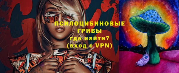 индика Арсеньев