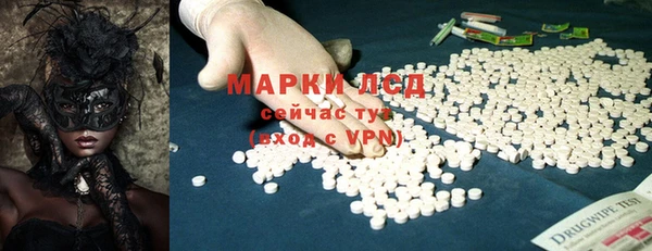 индика Арсеньев
