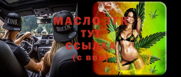 индика Арсеньев
