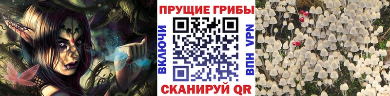 Галлюциногенные грибы прущие грибы Макушино