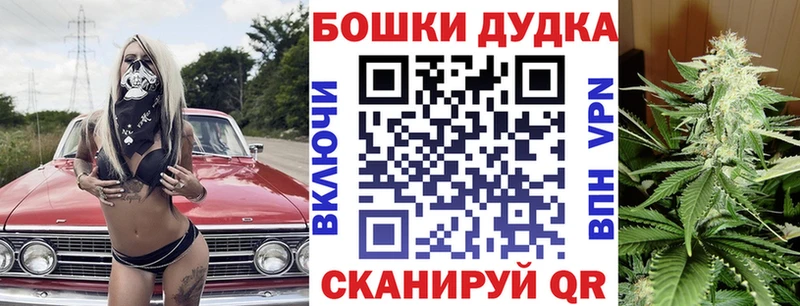 Бошки марихуана Amnesia  Макушино 